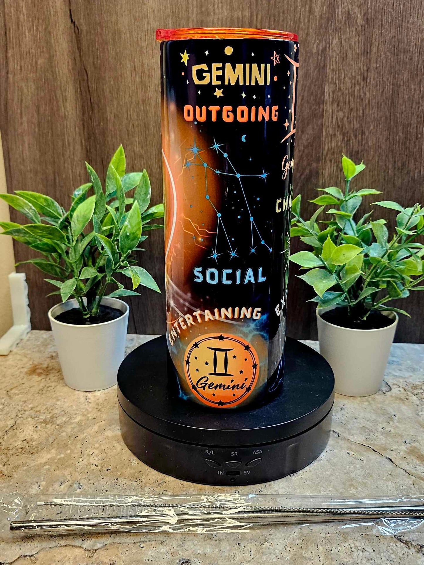 GEMINI ZODIAC (Personalized) 20oz Tumbler