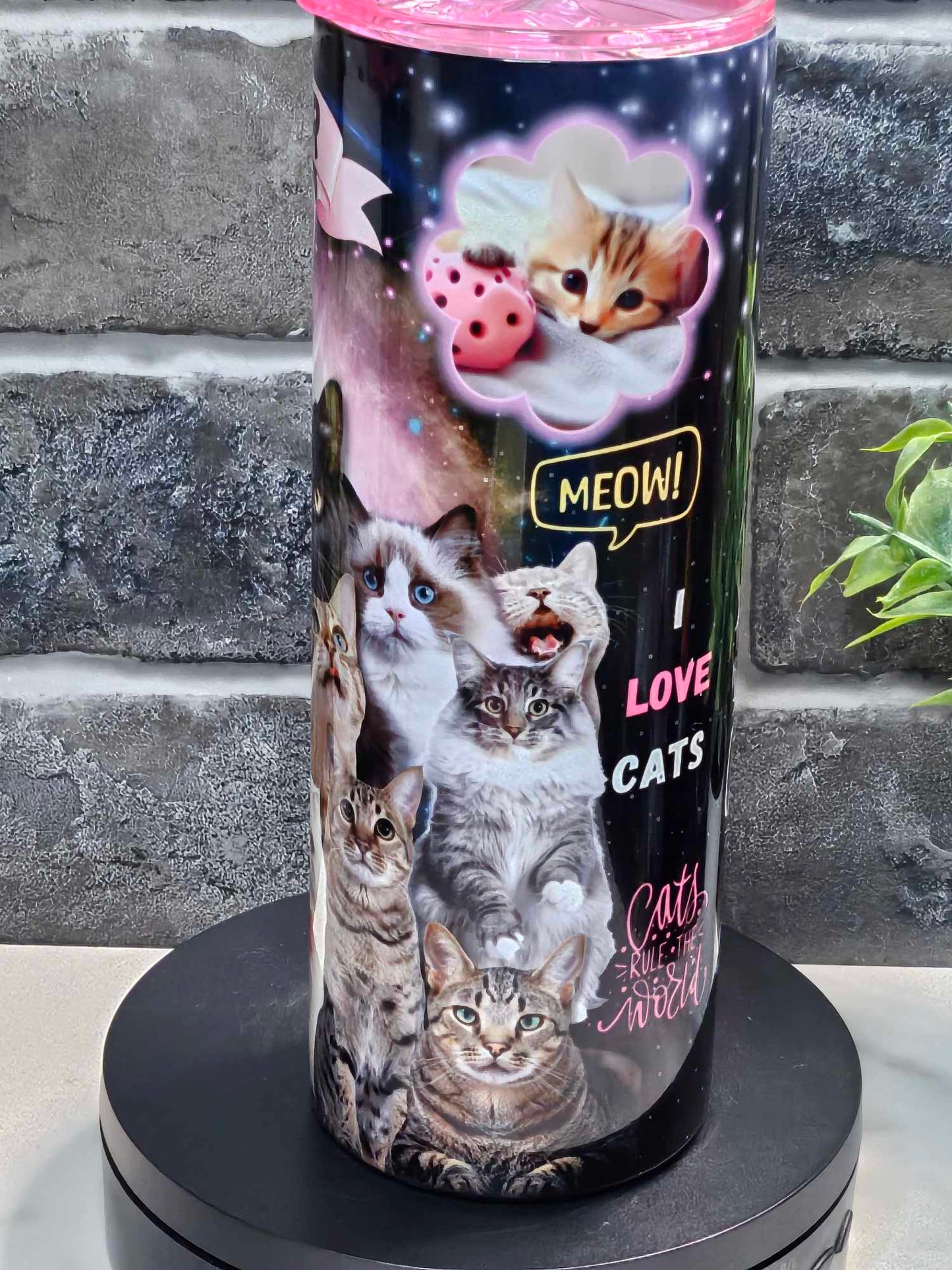 CATS RULE THE WORLD (Personalized) 20oz Tumbler or 15oz Ceramic Mug
