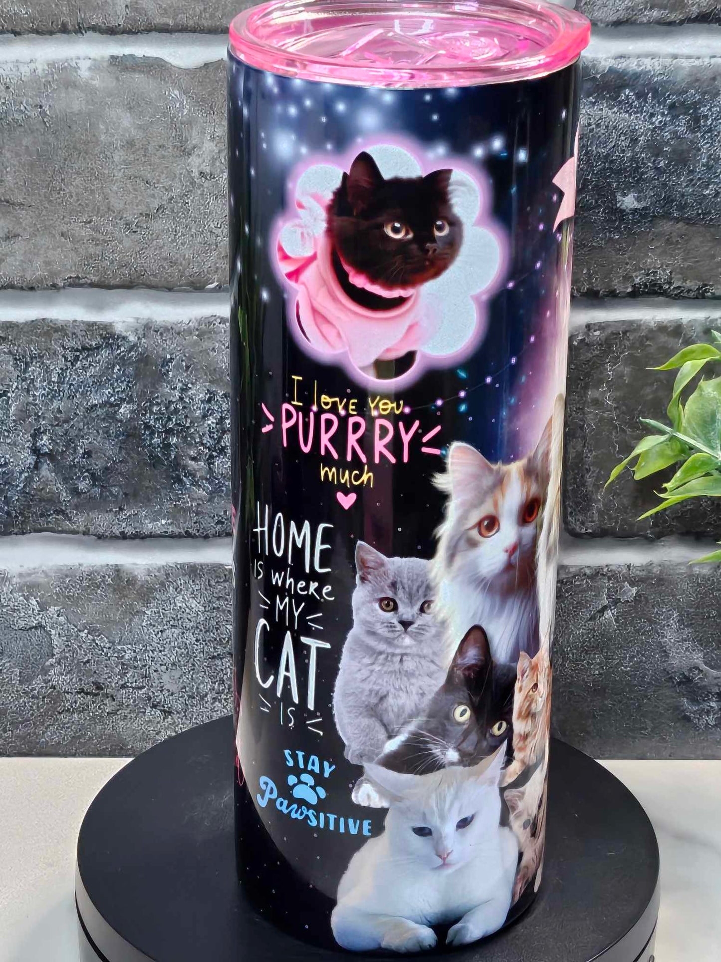 CATS RULE THE WORLD (Personalized) 20oz Tumbler or 15oz Ceramic Mug