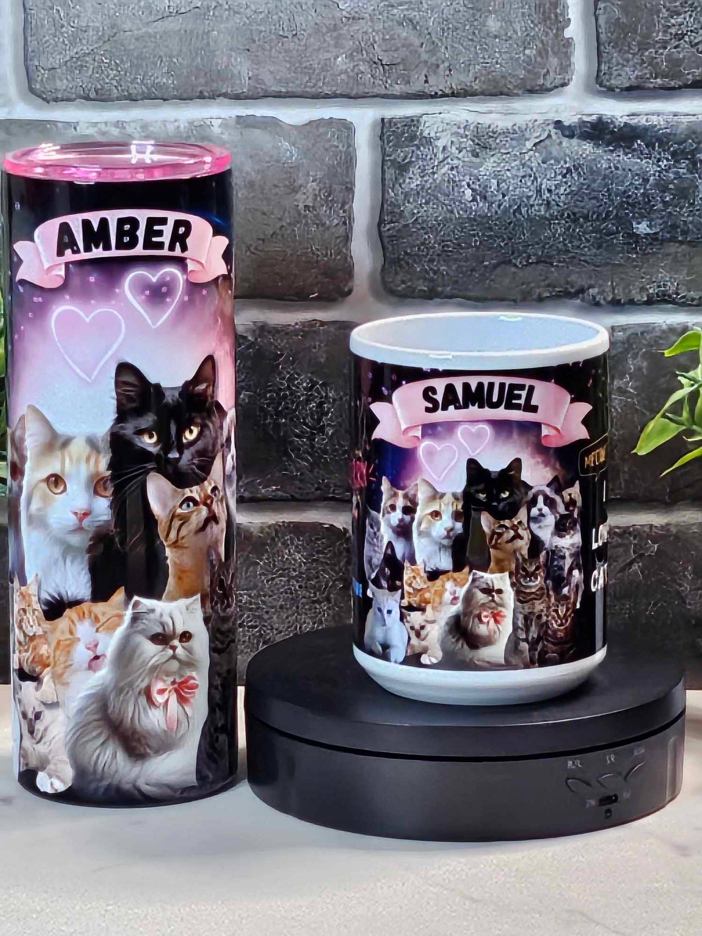 CATS RULE THE WORLD (Personalized) 20oz Tumbler or 15oz Ceramic Mug