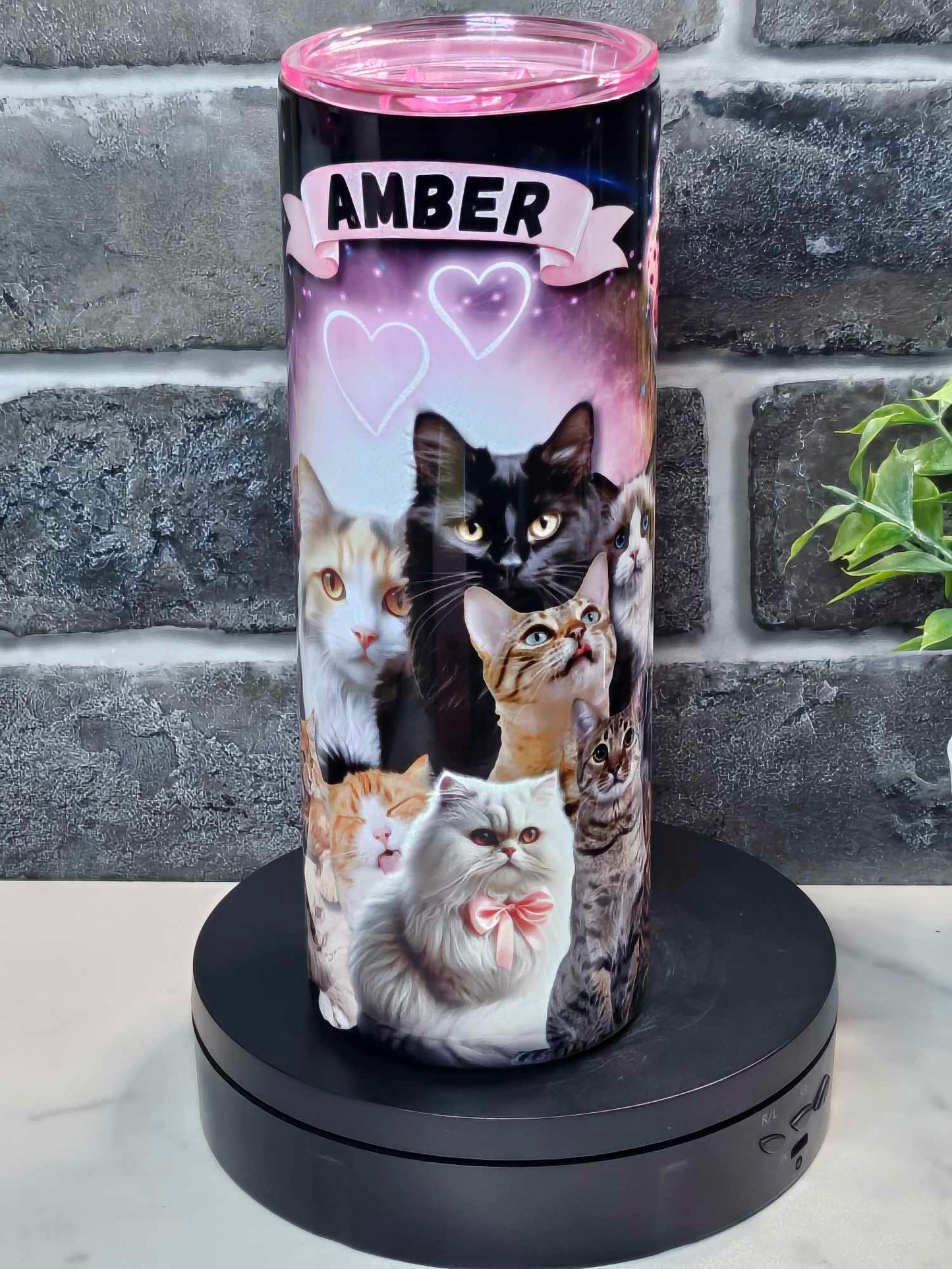 CATS RULE THE WORLD (Personalized) 20oz Tumbler or 15oz Ceramic Mug